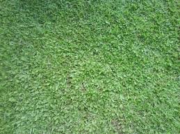 images_055